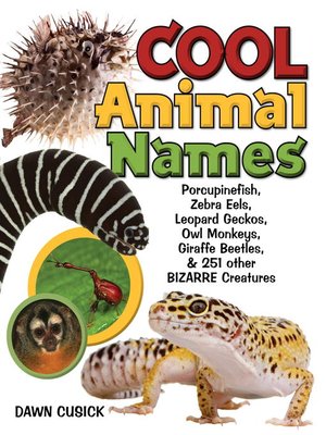 cover image of Cool Animal Names